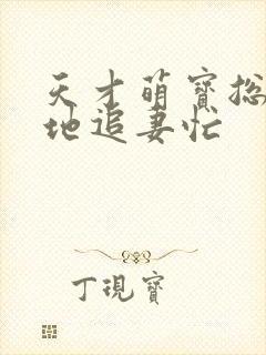 天才萌宝总裁爹地追妻忙