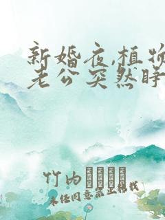 新婚夜,植物人老公突然睁开眼