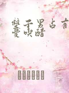 双子男占有欲强爱吃醋