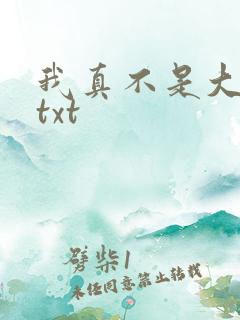 我真不是大明星txt