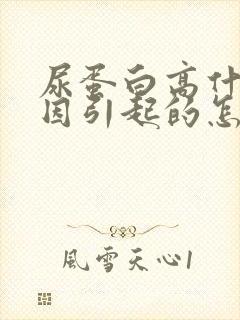 尿蛋白高什么原因引起的怎么办