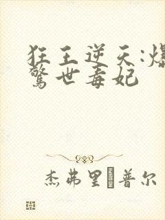 狂王逆天:爆宠惊世毒妃