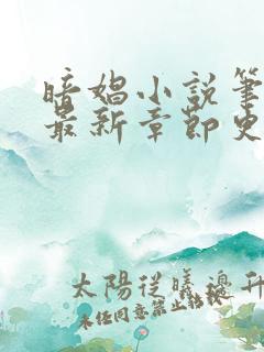 暗娼小说笔趣阁最新章节更新