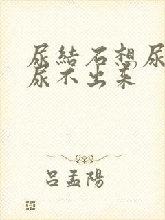 尿结石想尿但又尿不出来