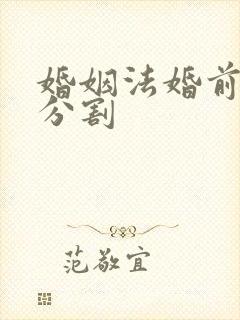 婚姻法婚前房产分割