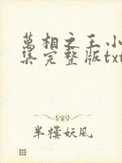 万相之王小说全集完整版txt