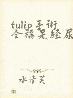 tulip手术全称是经尿道前列腺激光吗