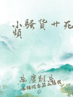 小骚货艹死你视频