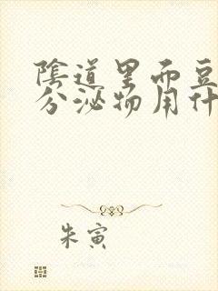 阴道里面豆腐渣分泌物用什么药