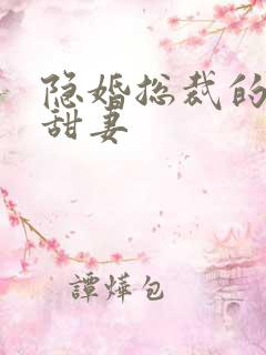 隐婚总裁的绯闻甜妻