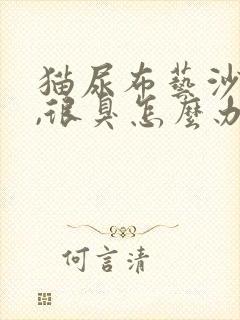 猫尿布艺沙发上,很臭怎么办?