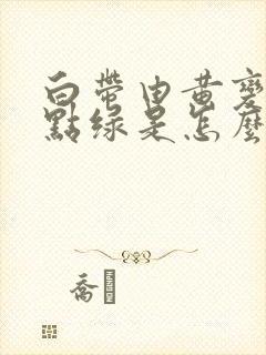 白带由黄变的有点绿是怎么了