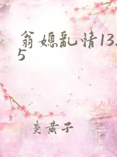 翁媳乱情13.5