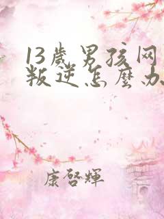 13岁男孩网瘾叛逆怎么办