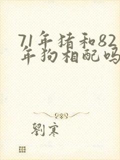 71年猪和82年狗相配吗?