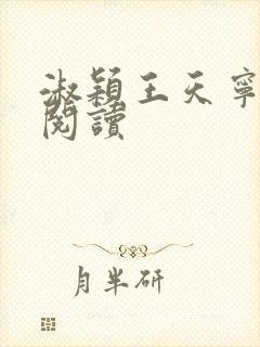 淑颖王天宁免费阅读