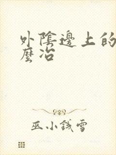 外阴边上的癣怎么冶