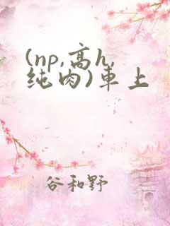 (np,高h,纯肉)车上