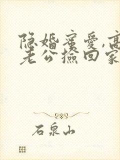 隐婚蜜爱,高冷老公捡回家