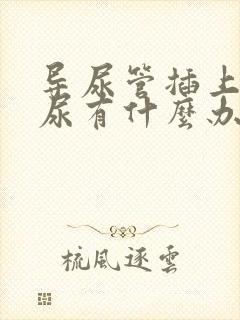 导尿管插上不出尿有什么办法