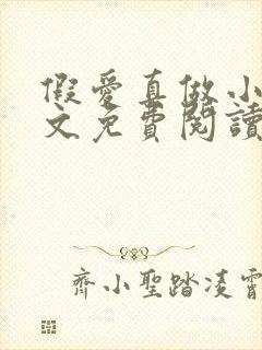 假爱真做小说全文免费阅读