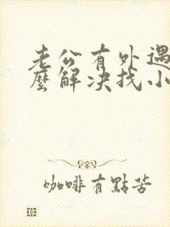 老公有外遇了怎么解决找小三