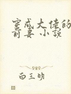 穿成大佬的私奔前妻 小说