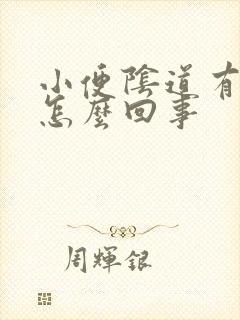 小便阴道有点疼怎么回事