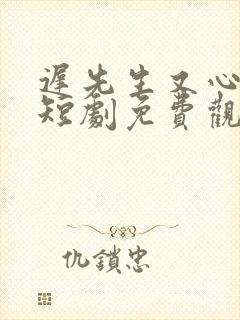 迟先生又心动了短剧免费观看最新一