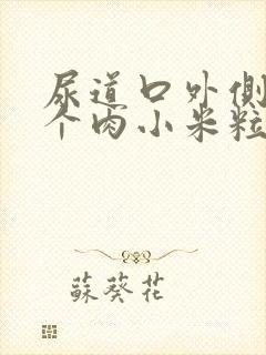 尿道口外侧长了个肉小米粒