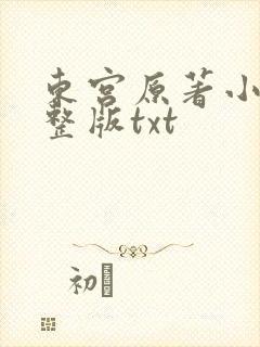 东宫原著小说完整版txt