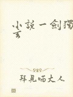 小说一剑独尊叶玄