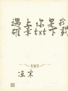 遇上你是我的小确幸txt下载