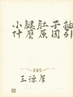 小腿肚子抽筋是什么原因引起的