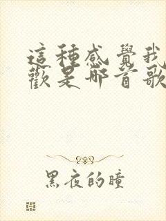 这种感觉我很喜欢是哪首歌的歌词