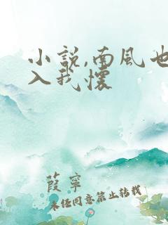 小说,南风也曾入我怀