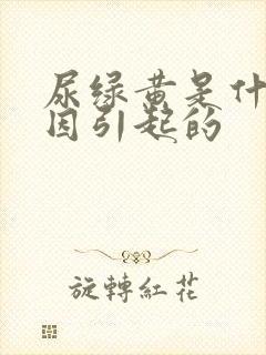 尿绿黄是什么原因引起的