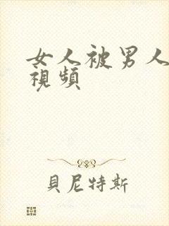 女人被男人舔b视频