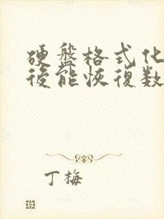 硬盘格式化分区后能恢复数据吗