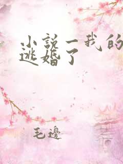 小说一我的新郎逃婚了