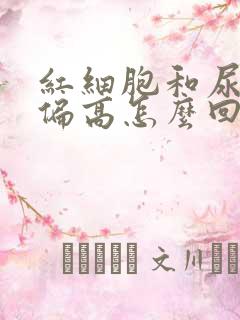 红细胞和尿潜血偏高怎么回事