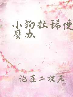 小狗拉稀便血怎么办