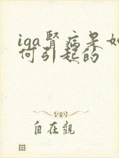 iga肾病是如何引起的