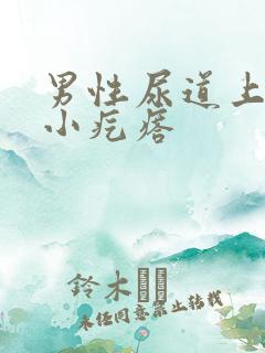 男性尿道上长了小疙瘩