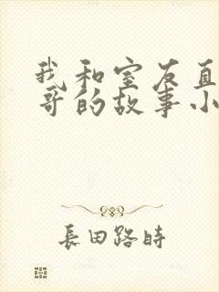 我和室友直男帅哥的故事小说