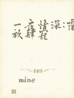 一夜情深:霍少放肆宠