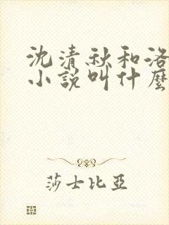 沈清秋和洛冰河小说叫什么