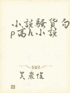 小说骚货勾引np高h小说