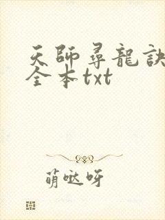 天师寻龙诀下载全本txt