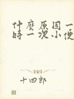 什么原因一个小时一次小便